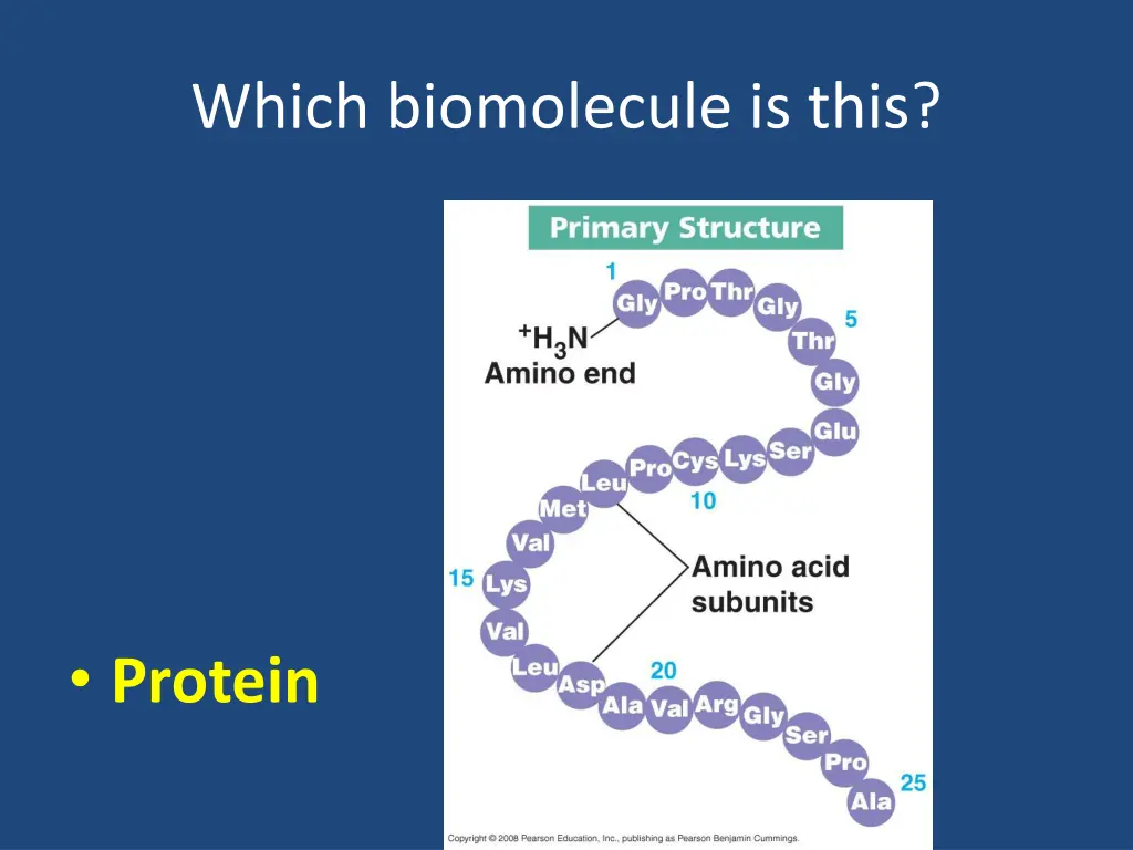 which biomolecule is this 9