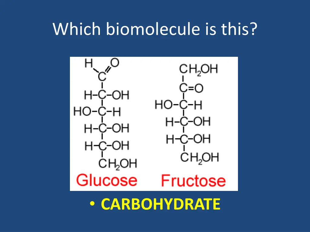 which biomolecule is this