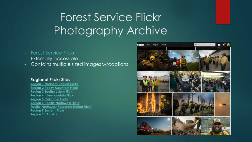 forest service flickr photography archive