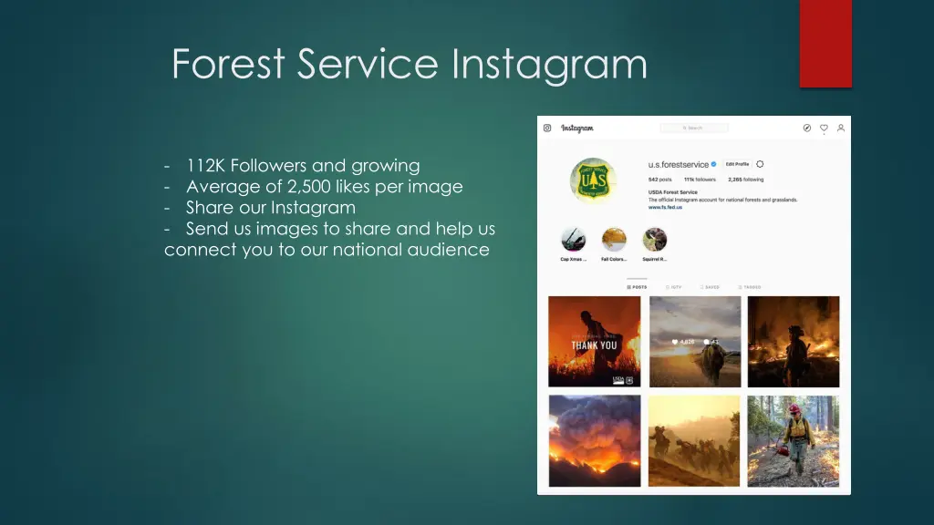 forest service instagram