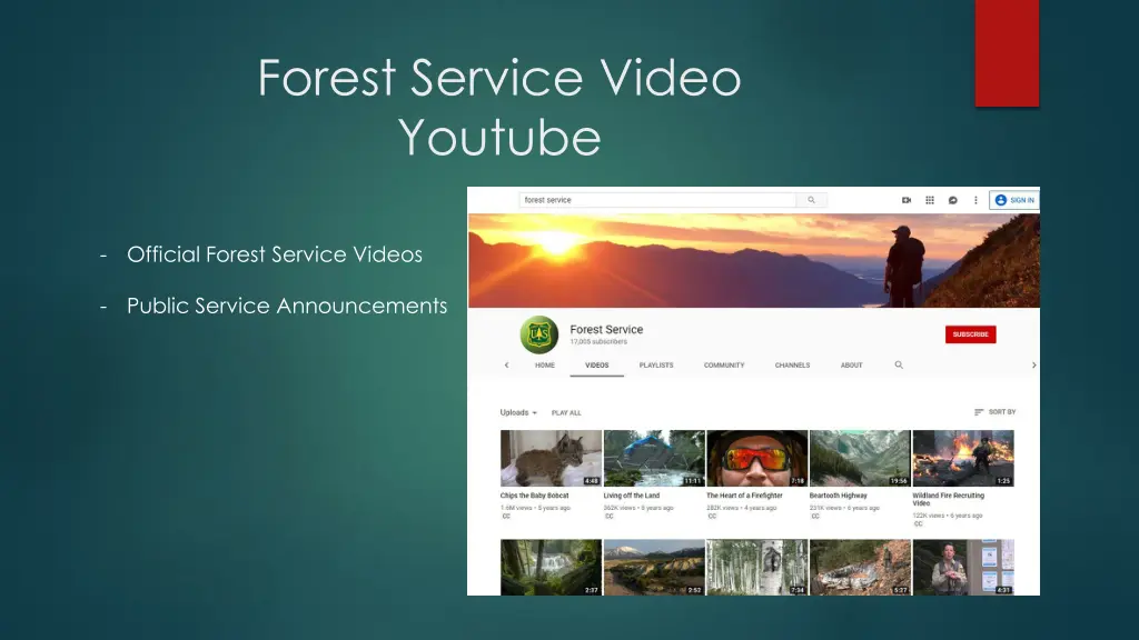 forest service video youtube