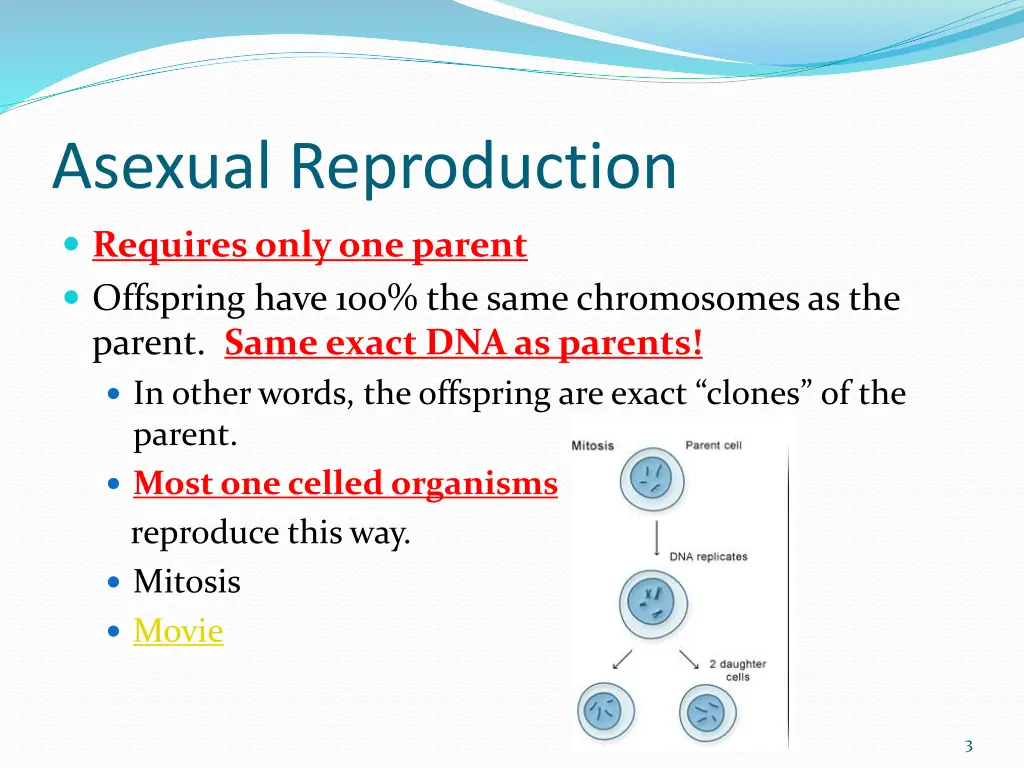 asexual reproduction