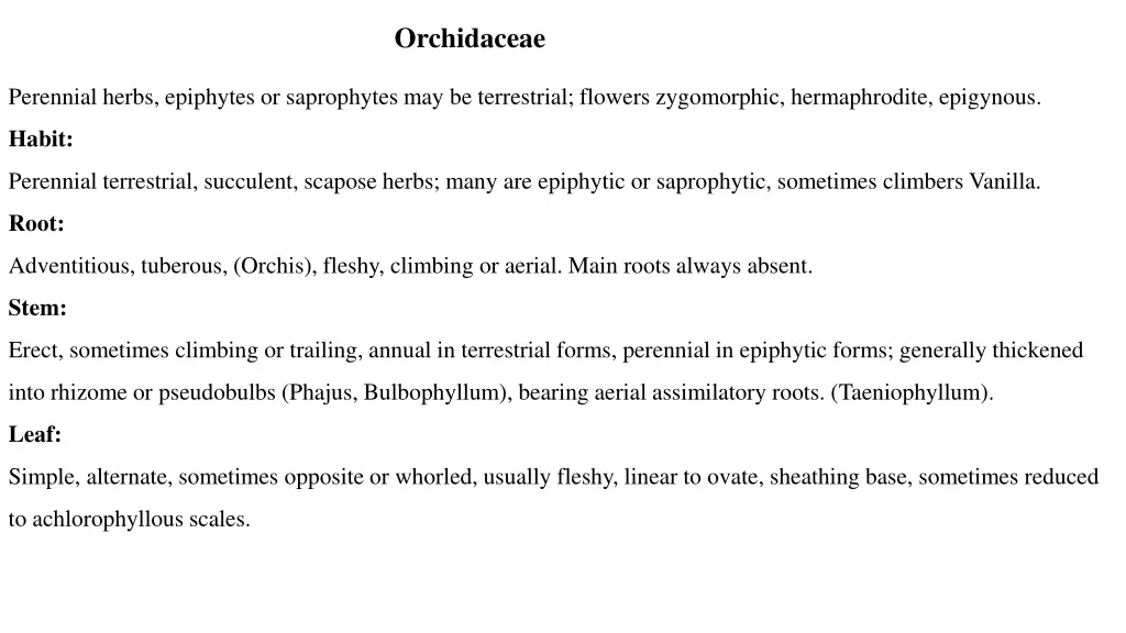 orchidaceae