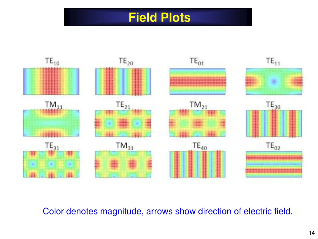 field plots