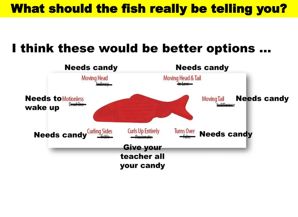 what should the fish really be telling you what