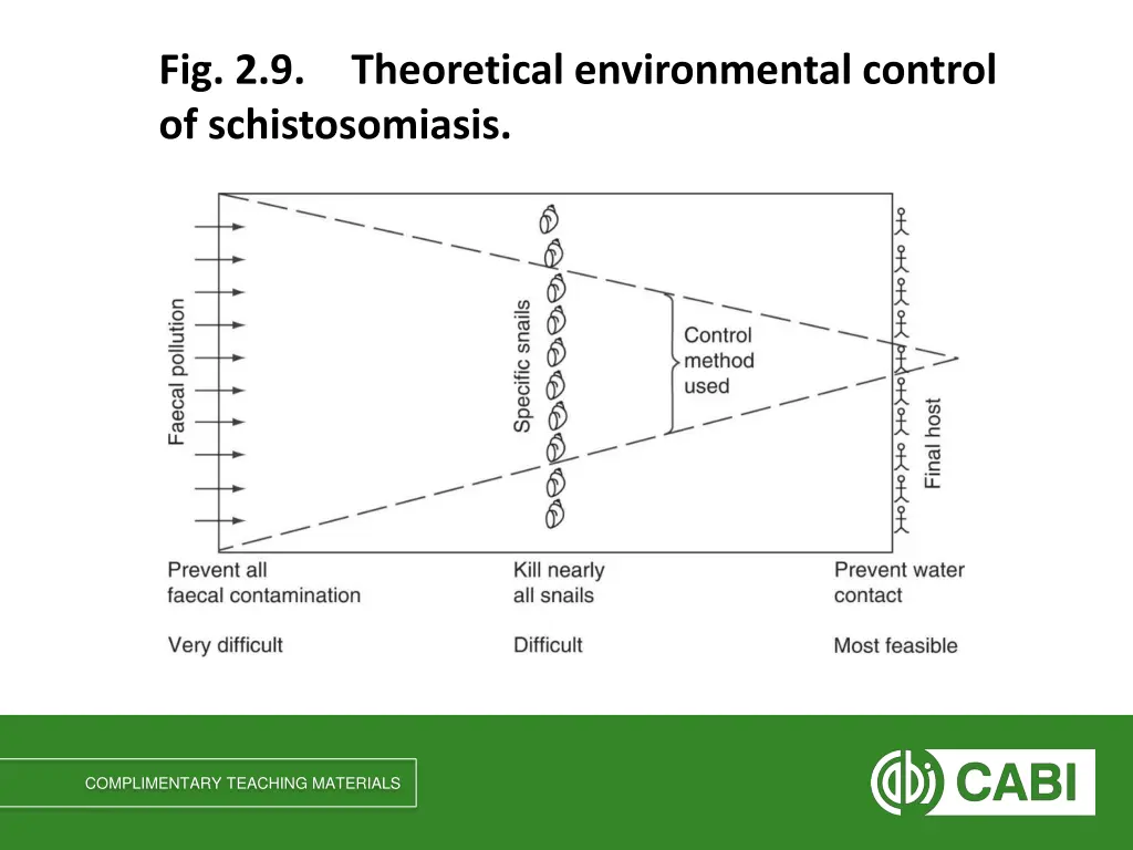 fig 2 9 of schistosomiasis