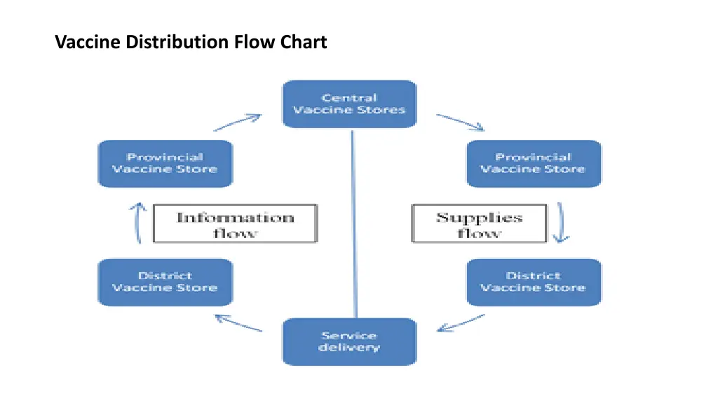 vaccine distribution flow chart