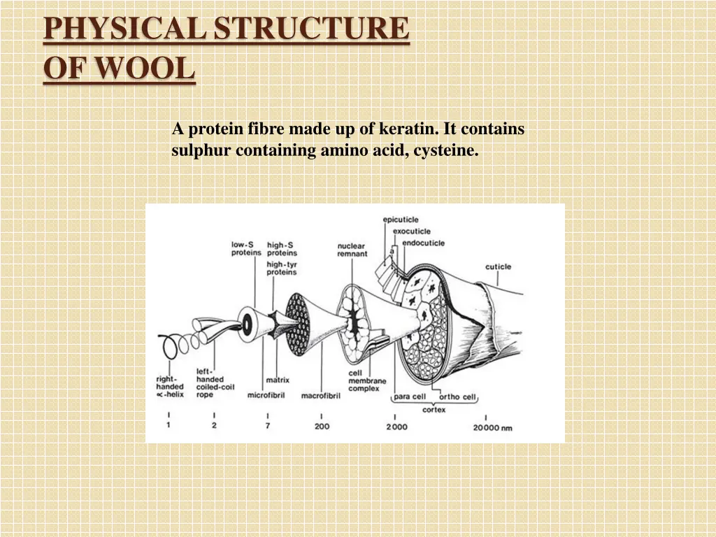 physical structure of wool