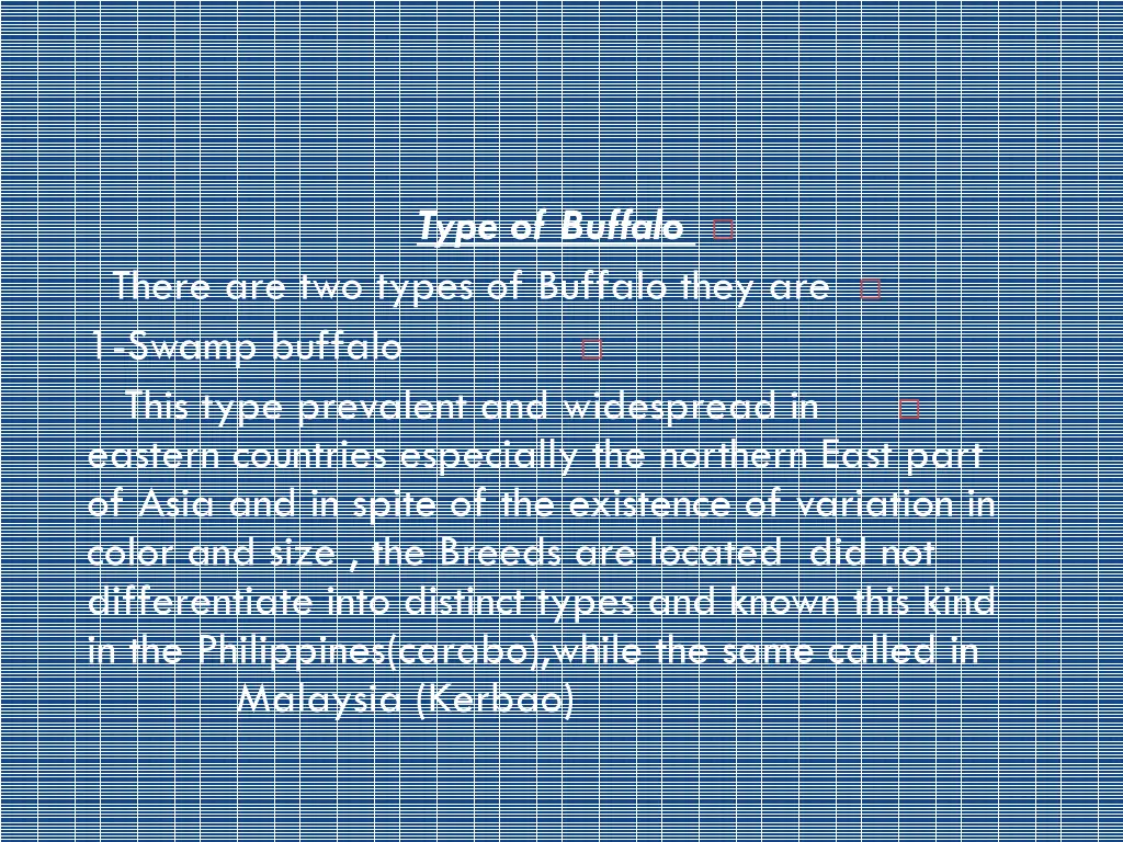 type of buffalo