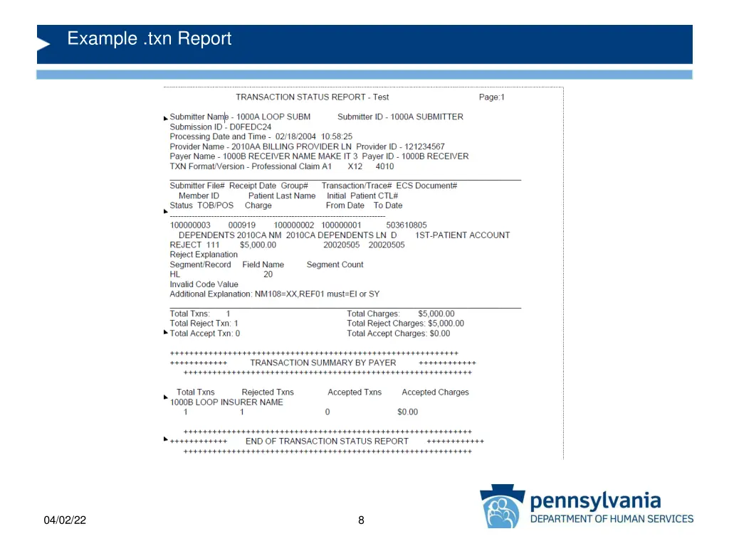 example txn report