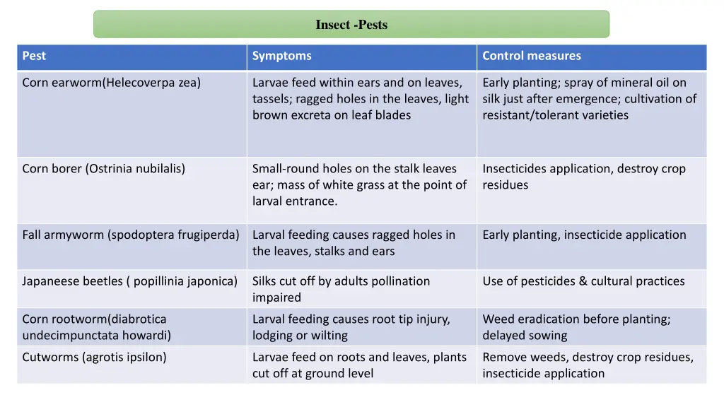 insect pests