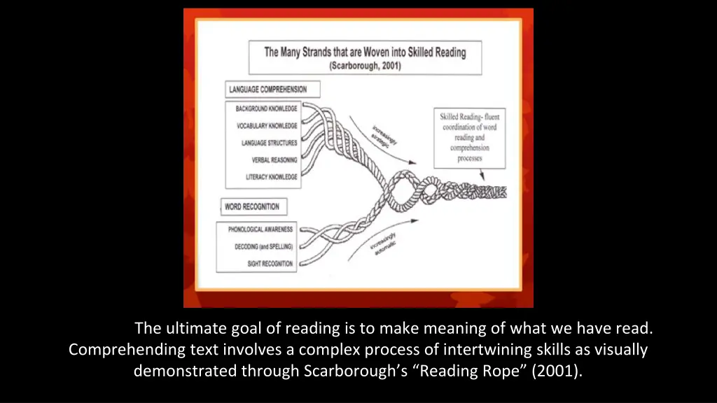 the ultimate goal of reading is to make meaning