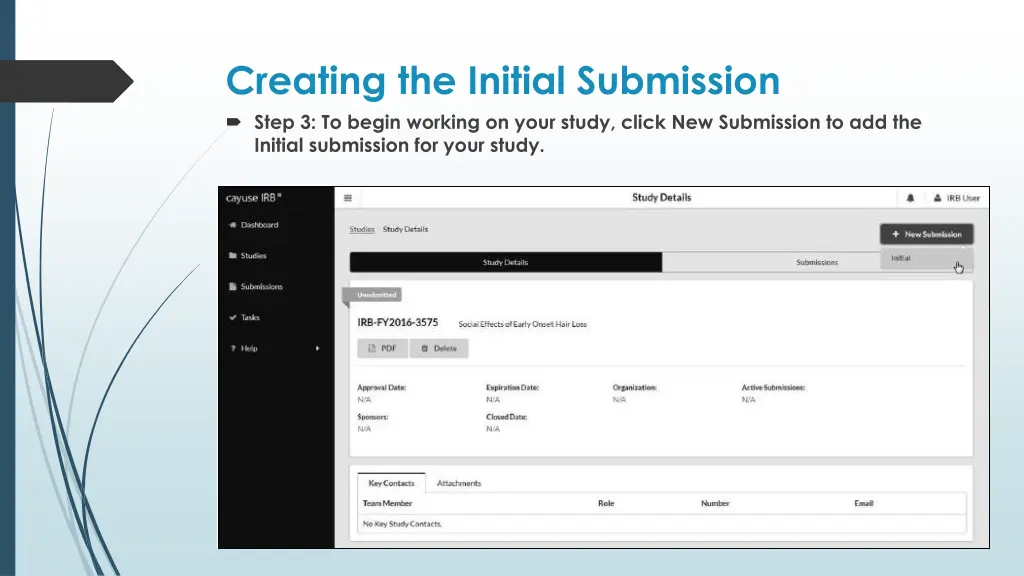 creating the initial submission step 3 to begin