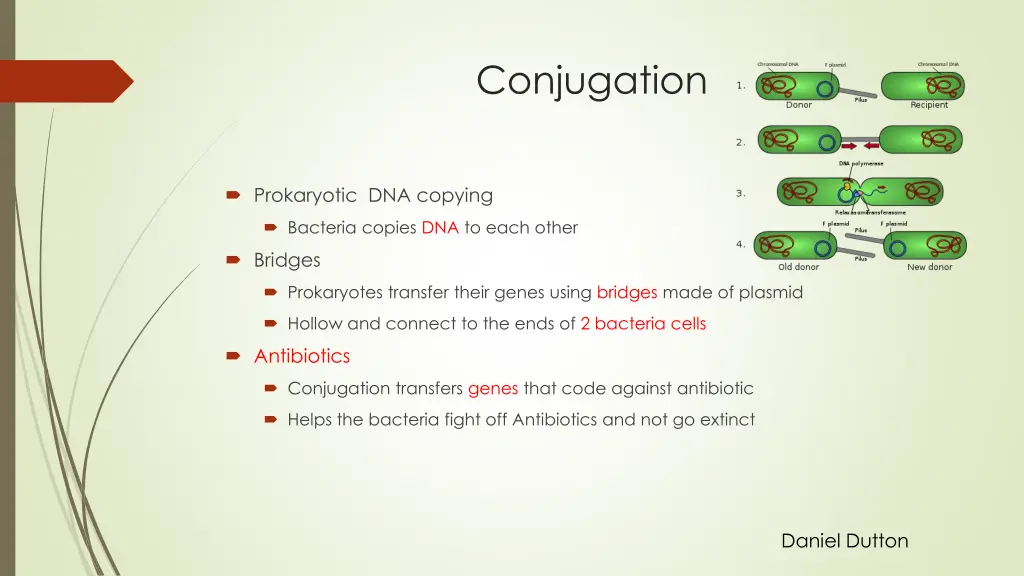 conjugation