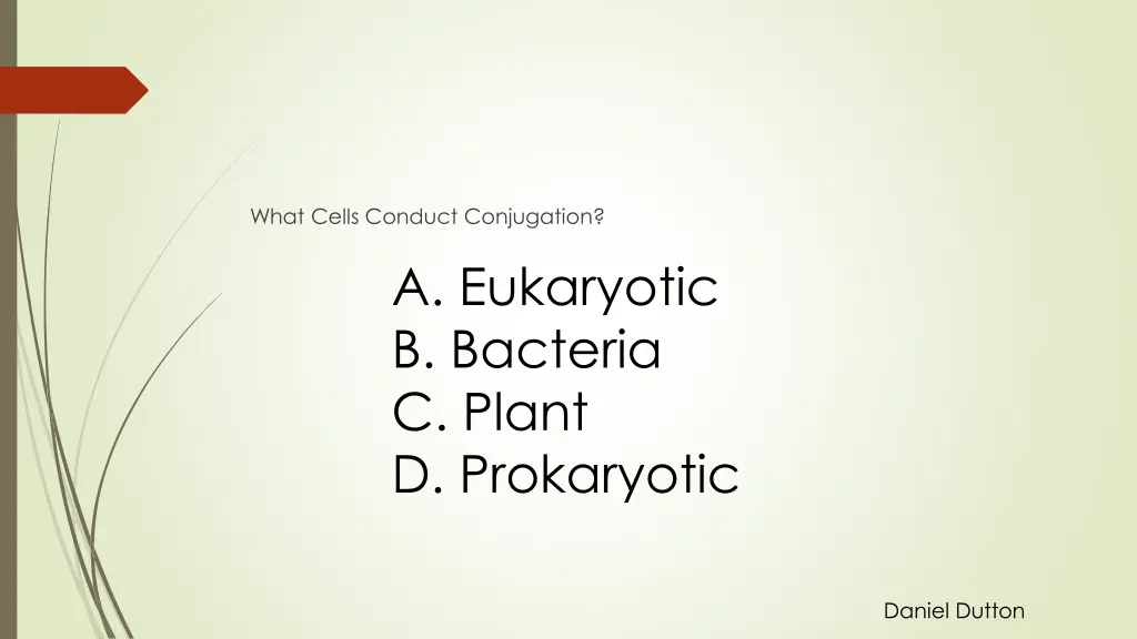 what cells conduct conjugation a eukaryotic