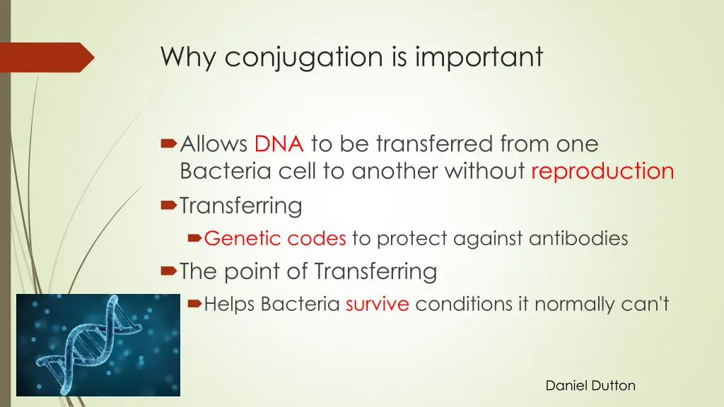 why conjugation is important