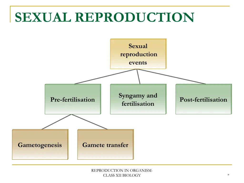 sexual reproduction