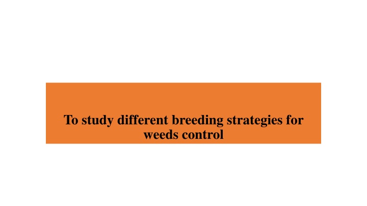 to study different breeding strategies for weeds