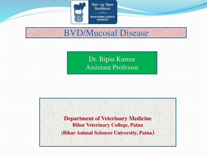 bvd mucosal disease