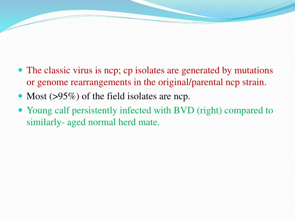 the classic virus is ncp cp isolates