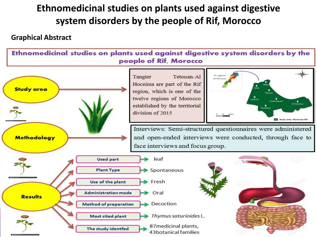 ethnomedicinal studies on plants used against