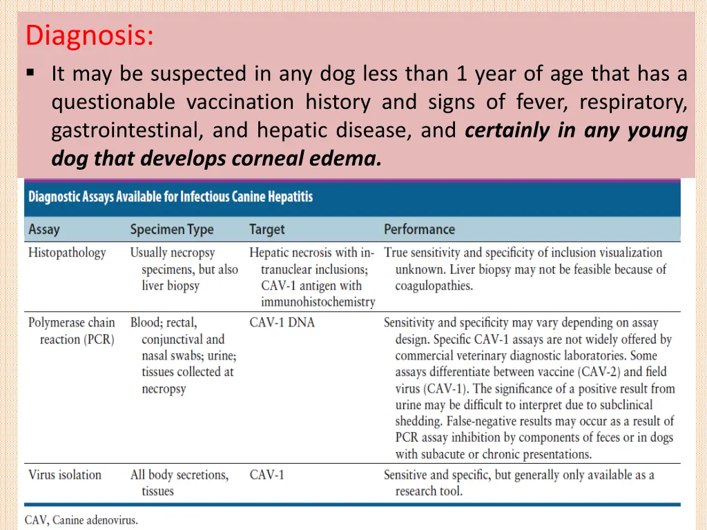 diagnosis it may be suspected in any dog less