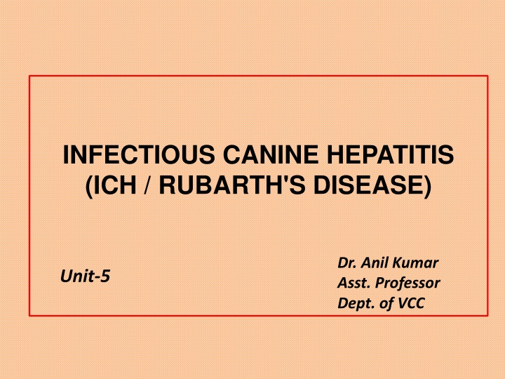 infectious canine hepatitis ich rubarth s disease