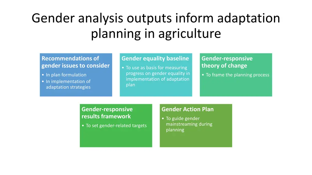 gender analysis outputs inform adaptation