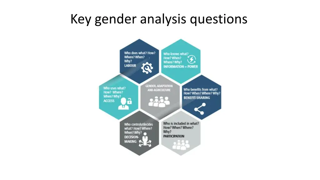 key gender analysis questions