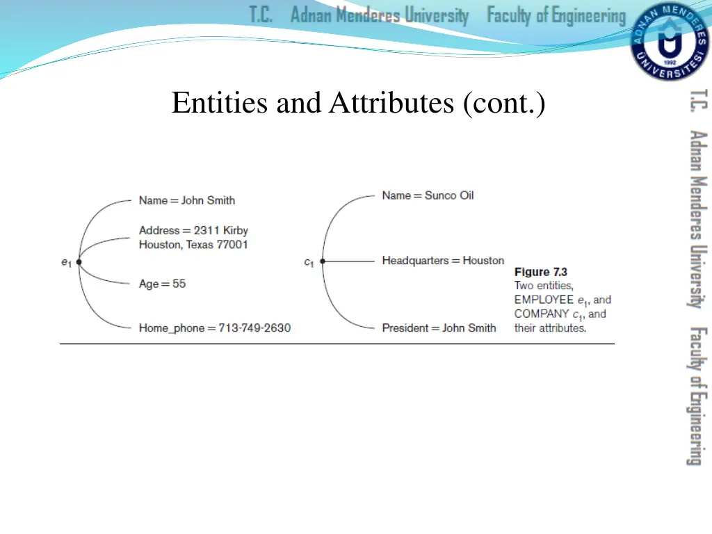 entities and attributes cont