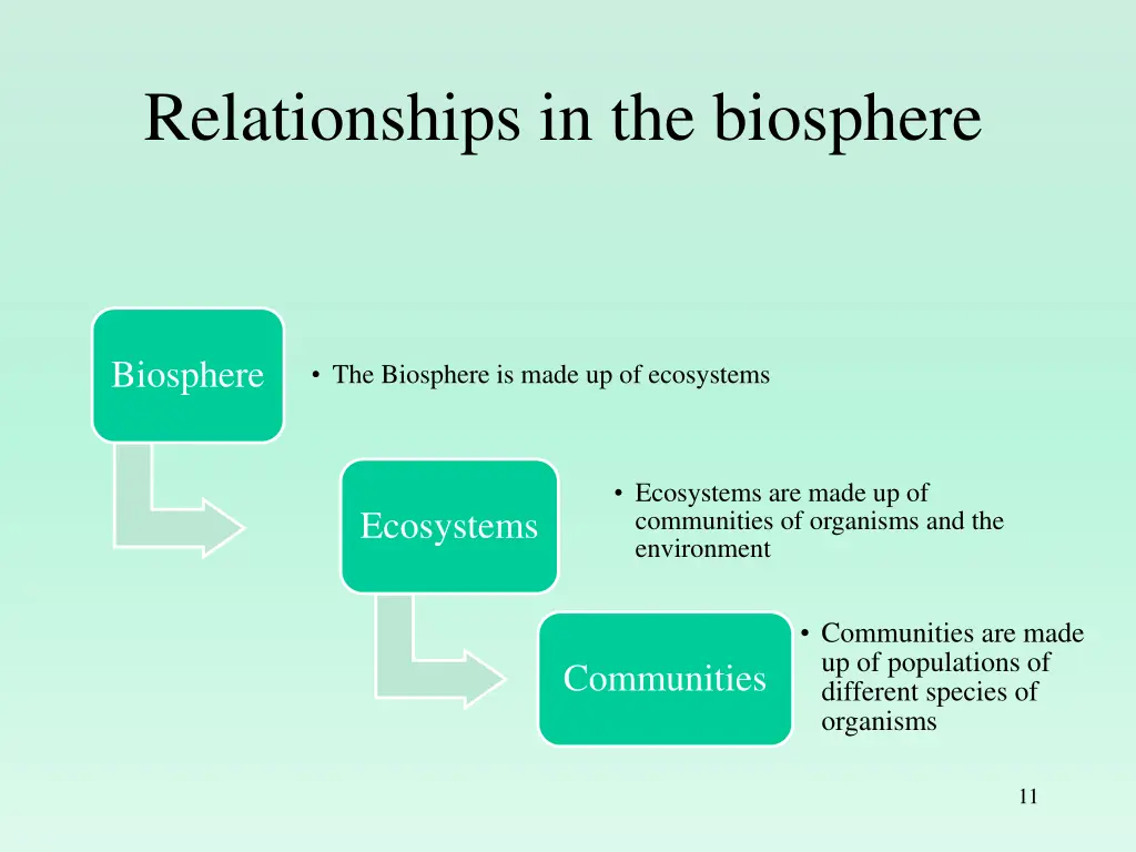 relationships in the biosphere