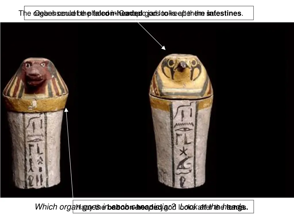 the organs could be placed in canopic jars