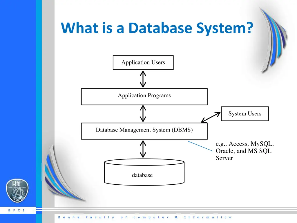 what is a database system