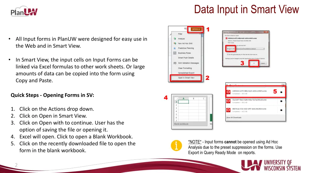 data input in smart view