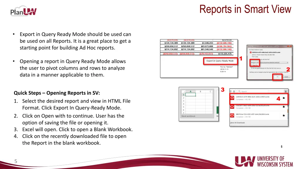 reports in smart view