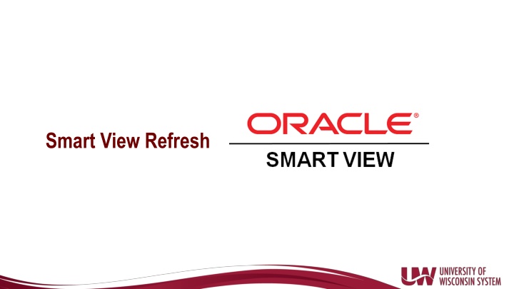 smart view refresh