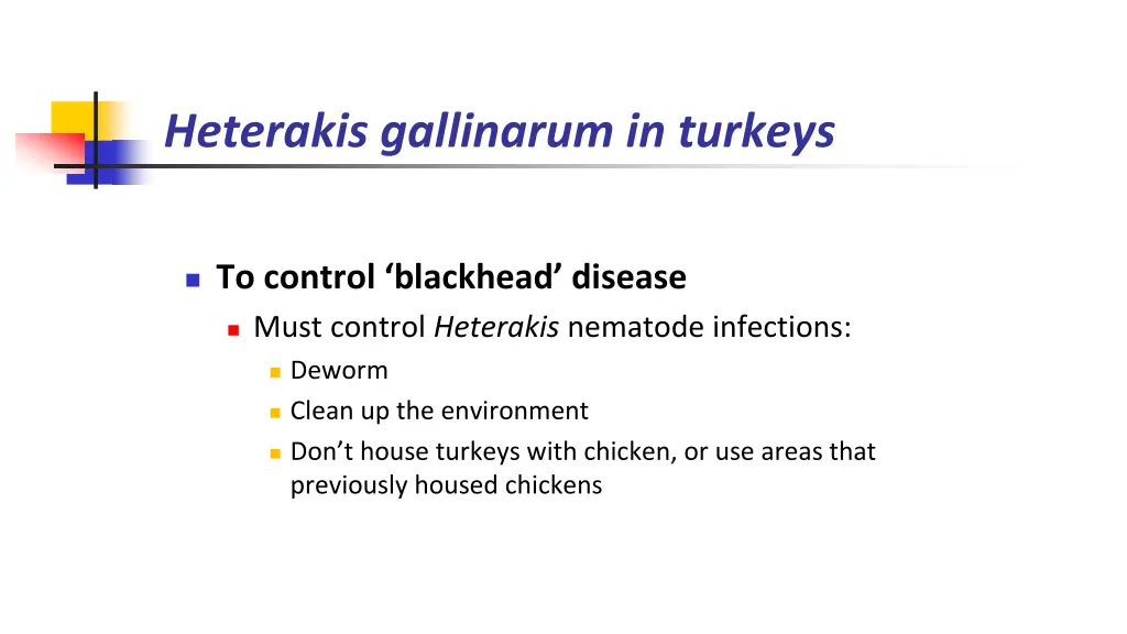 heterakis gallinarum in turkeys 1