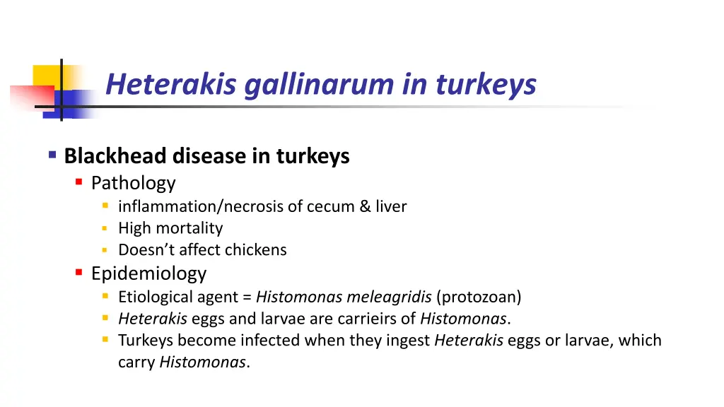 heterakis gallinarum in turkeys