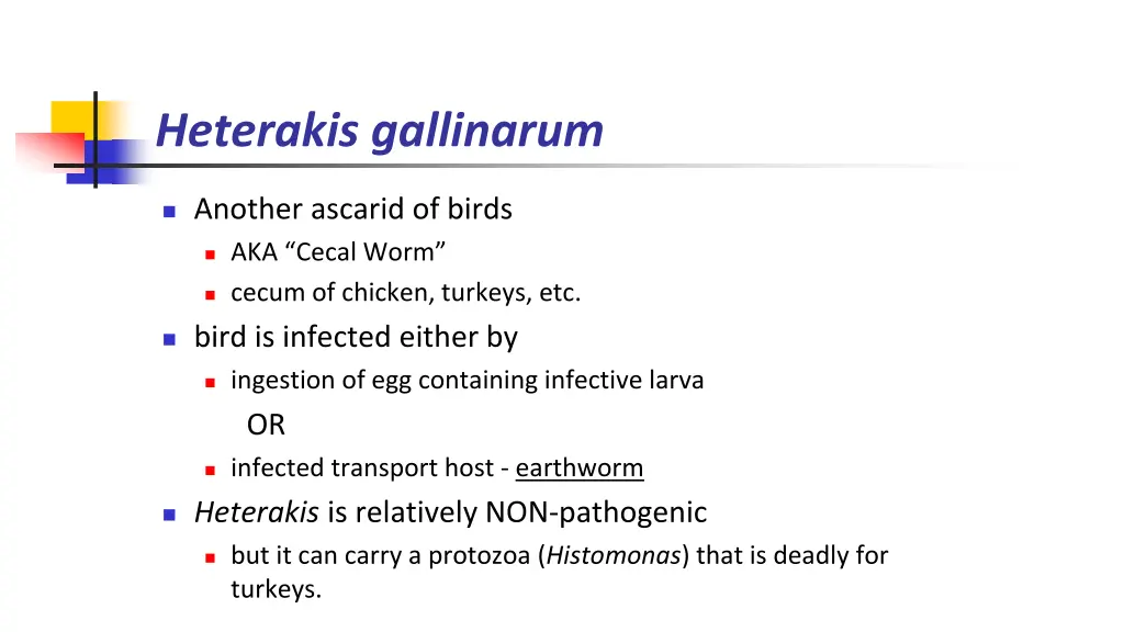 heterakis gallinarum