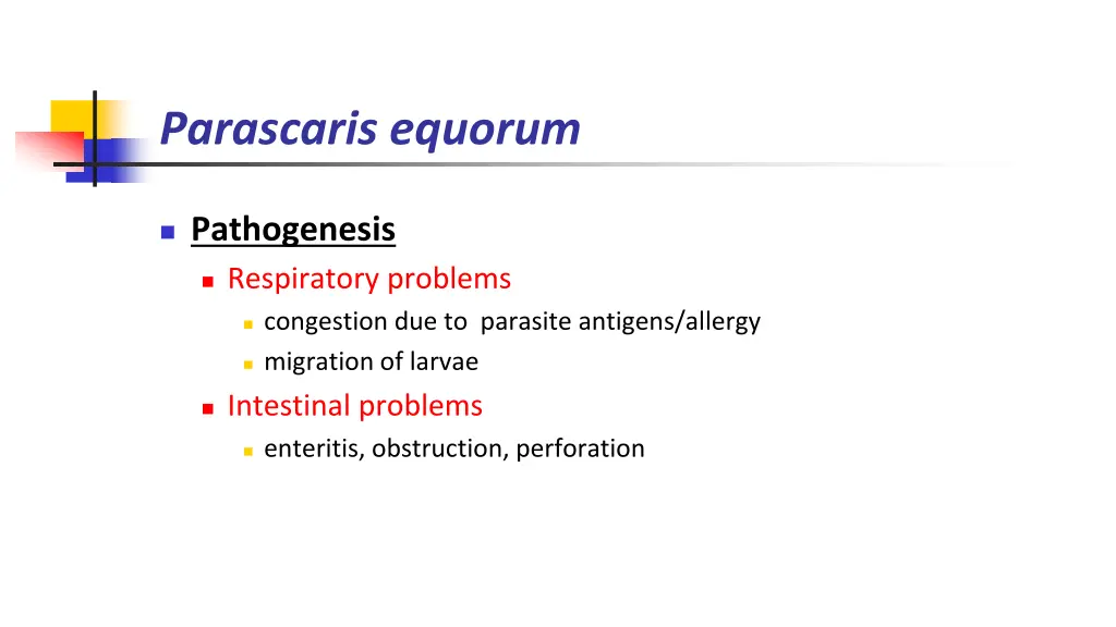 parascaris equorum 3