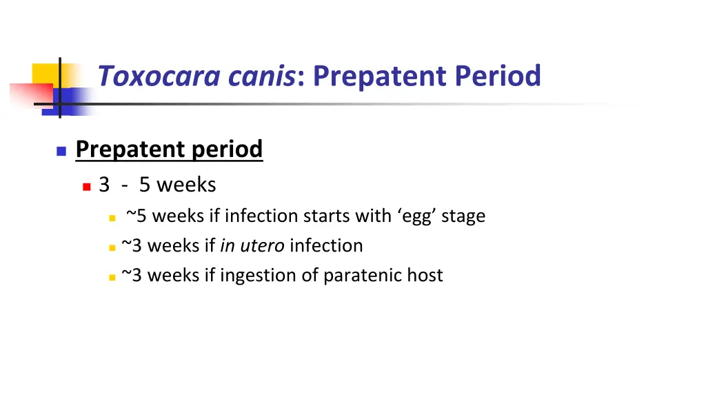 toxocara canis prepatent period