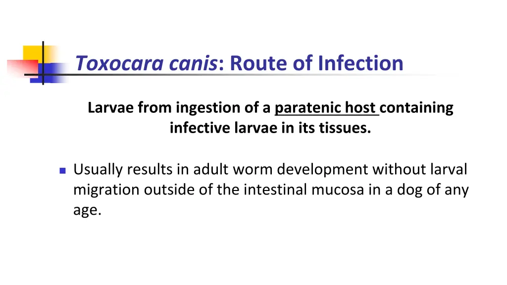 toxocara canis route of infection 2