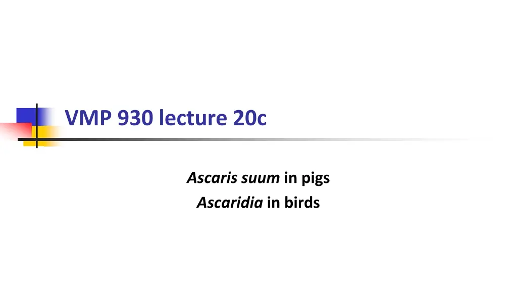 vmp 930 lecture 20c