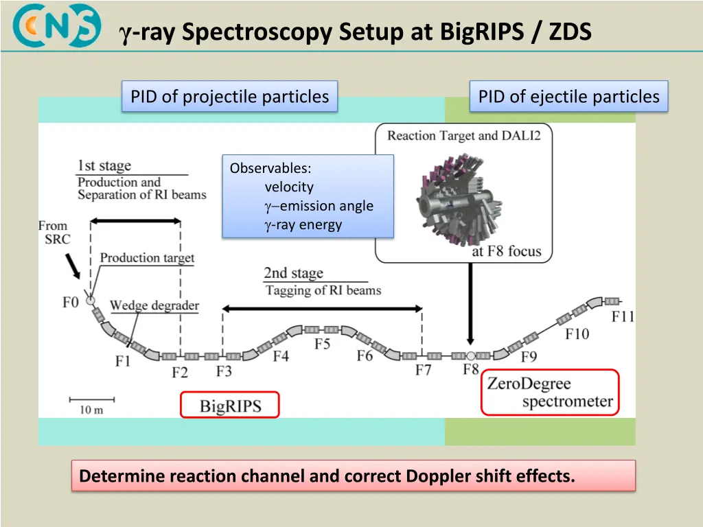 ray spectroscopy setup at bigrips zds