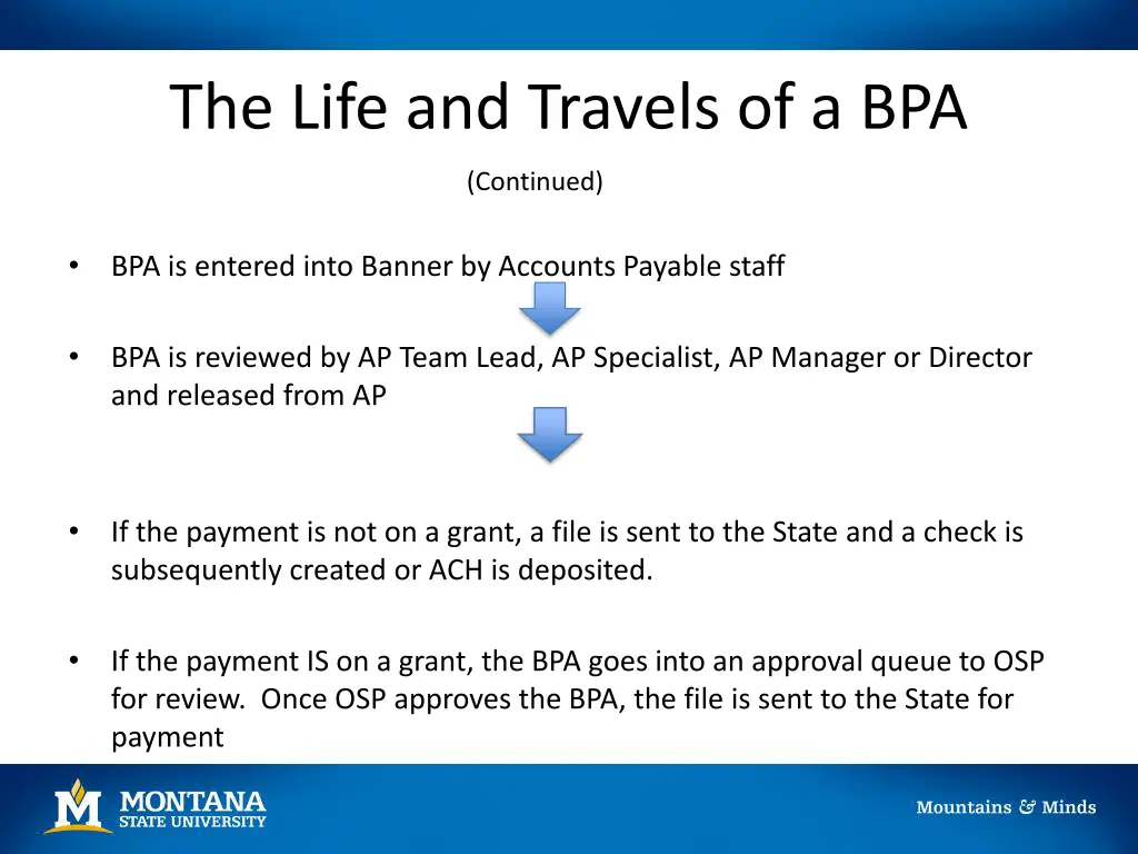 the life and travels of a bpa 1