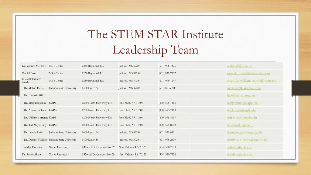 the stem star institute leadership team