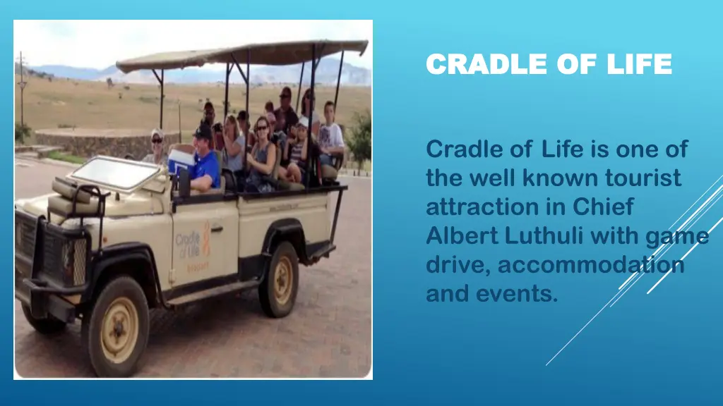 cradle of life cradle of life