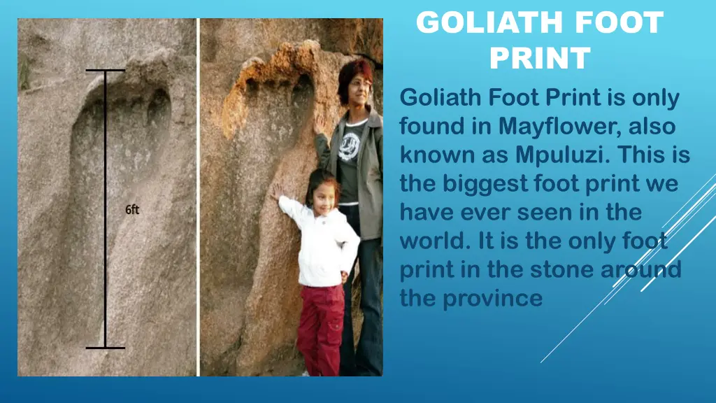 goliath foot print goliath foot print is only