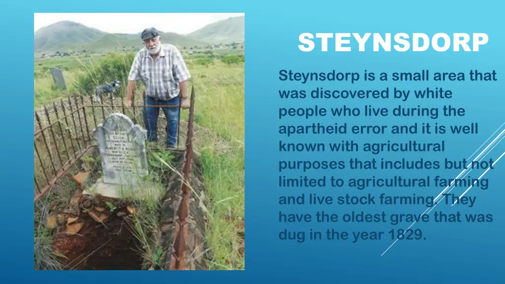 steynsdorp