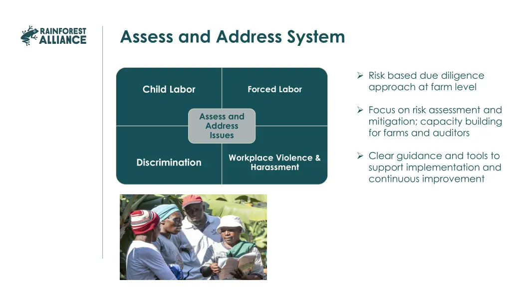 assess and address system